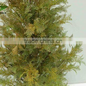 low cost cheap plant bonsai indoor and outdoor