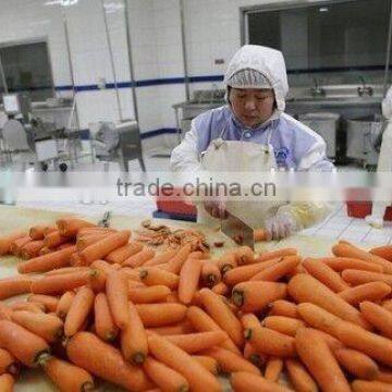 Frozen Fresh Varied Carrot Diced Products photo-6