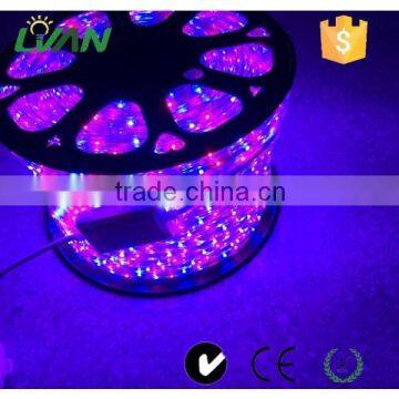 RGB/White/Warm White SMD 5050 Flexible LED Strip Light With CE ROHS