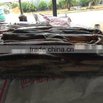 2016 High Quality Frozen Illex Squid 200-300g for Sale photo-2