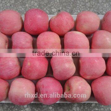 China Fresh Perfumed Fuji Apple