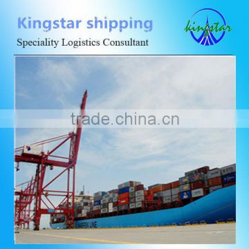 sea shipping china to czech prague/msc container tracking