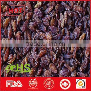 Various Type of Organic Sweet Raisins From China photo-5
