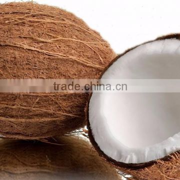 pure original Normal size fresh quality coconut