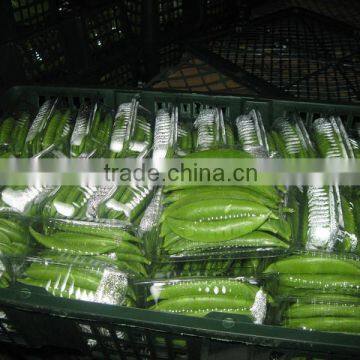 Wholesale fresh sweet beans