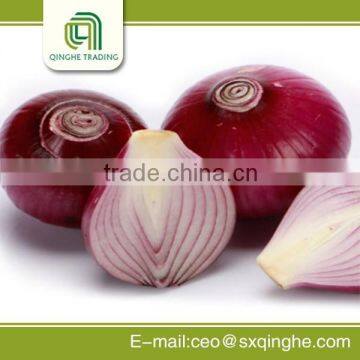 Wholesale fresh red onions