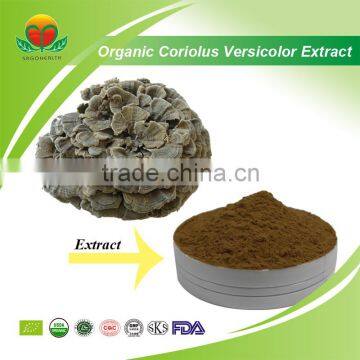 Best Seller of Organic Coriolus Versicolor Extract