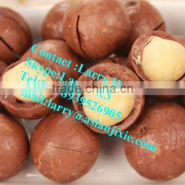 Macadamia Nuts Opening Machine/kindal Opening Machine/queensland Nut Cracker photo-6