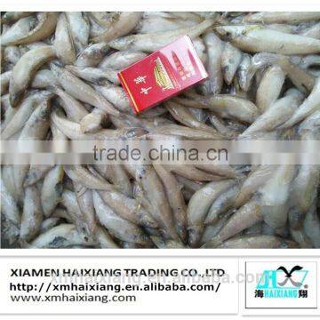 Whole round frozen Silver Sillago (Lady Fish)