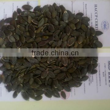 Inner Mongolia Pumpkin Seeds Grow Without Shell Grade AA