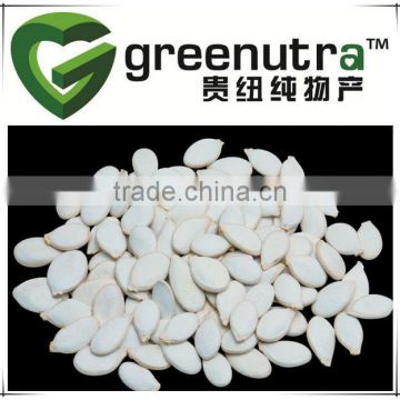 white pumpkin seed