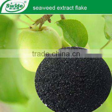 organic fertilizer seaweed