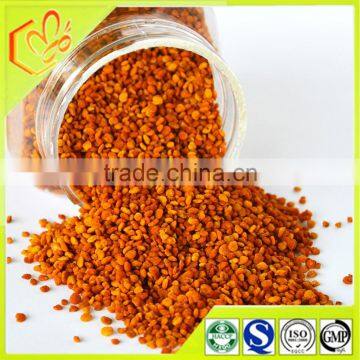 Health Food Top Quality Pure Edible Camelia Tea Bee Pollen