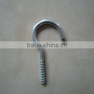 Stainless Steel Screw Hook