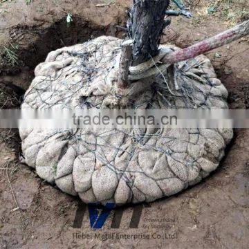 Hot selling tree wire basket - rootball netting for tree made in China