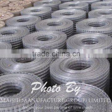 50x50mm Galvanzied Welded Wire Mesh photo-6