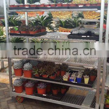 316 Conservatory Car Flower Transport Trolley Cart photo-2