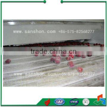 Food Freezing IQF Blast Freezing Vegetable Freezing Machine Frozen Cranberries photo-3