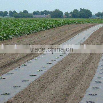 perforate mulch films