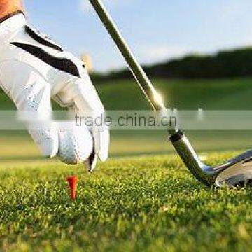 Sports Equipment,Badminton Racket, Golf Clubs, Baseball Bat Repair Fix photo-4