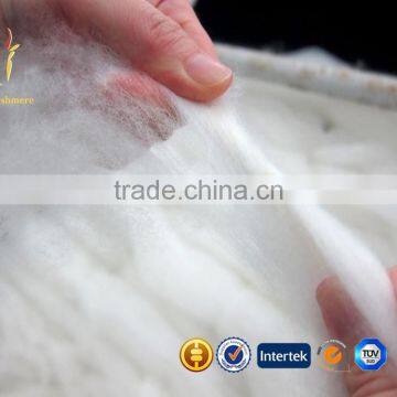 Hot Selling Soft Merino Wool Fiber for Sale photo-2