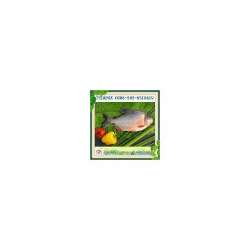 frozen red pompano pomfret