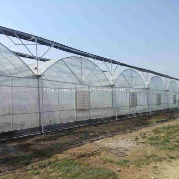 Agricultural Multi-span Hot Galvanized Steel Greenhouse Frame for Tomato photo-3