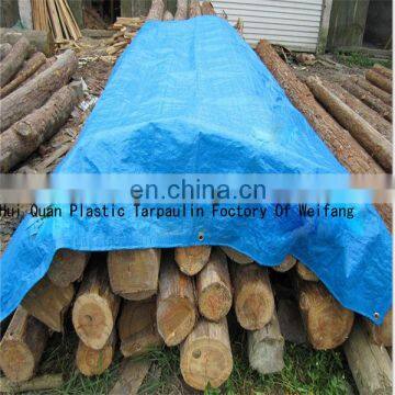 Poly Tarps With Four Corner Reinforcement and Eyelet Plastic Raw Material photo-2
