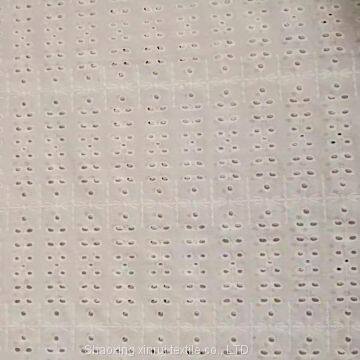 pure 100 % cotton white fabric lace embroidered