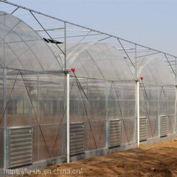 Multi Span PE Film Agricultural Greenhouse photo-3