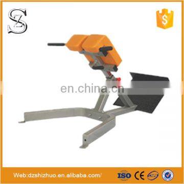 Gym Equipment Names Roman Chair/Hyper Extension/Lower Back Exercise Bench/45 Degree Back Extension
