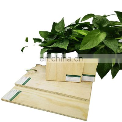 Hardwood plywood sheet furniture marine ply wood 18mm birch plywood