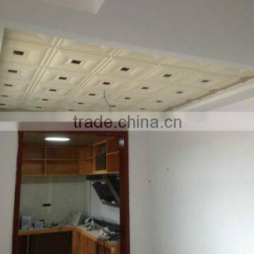 Interior Decoration Moistureproof Plastic Wall Panel