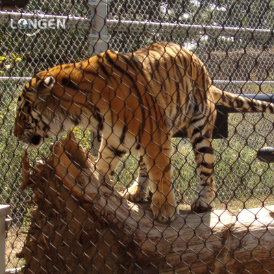 High Strength Stainless Steel Zoo Mesh for Tiger, Lion, Leopard, Monkey Enclosure Mesh Zoo Fence