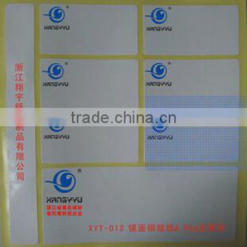 cast coated adhesive sticker /label