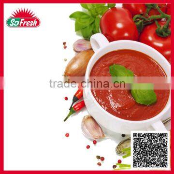 400g Tomato Paste in Tin photo-3