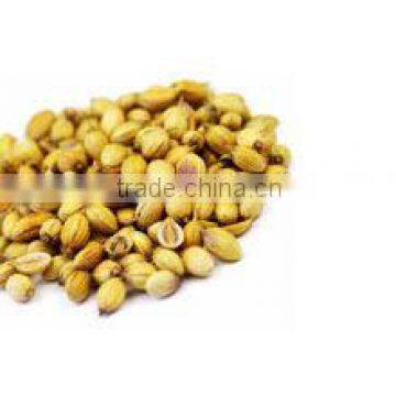 Coriander seeds best quality