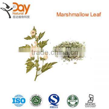 2015 New Althaea Officinalis Herb Wholesale