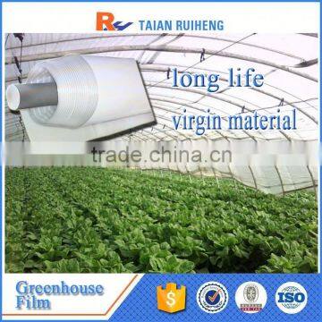 Virgin Material Greenhouse Film With Factory Price, PE Greenhouse Film. photo-2