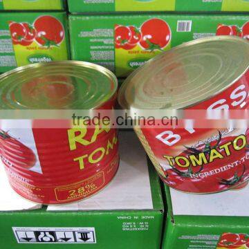 Supply 2200gr*6 H/O Canned Tomato Paste