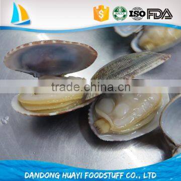 High quality vacuum pack clam in shell