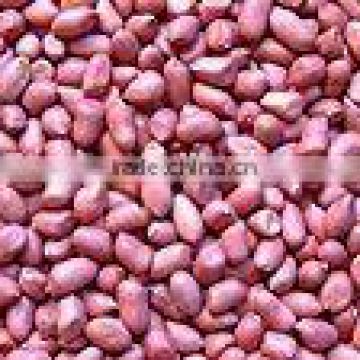 Chinese Peanuts kernels