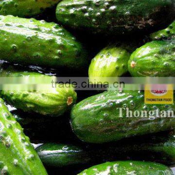 Vietnam Cucumber