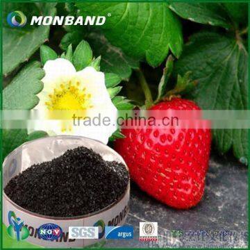 Potassium Humate fertilizer (67%HA+12K2O)