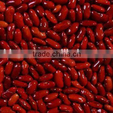 Dark red kidney beans) CHIINA we are supplying