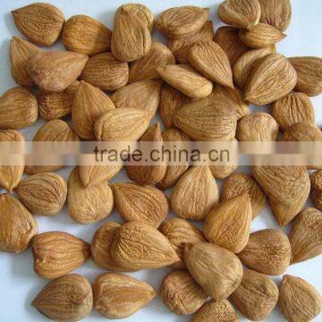Roasted Apricot Kernels Raw Flavor With Good Quality for Sale photo-5