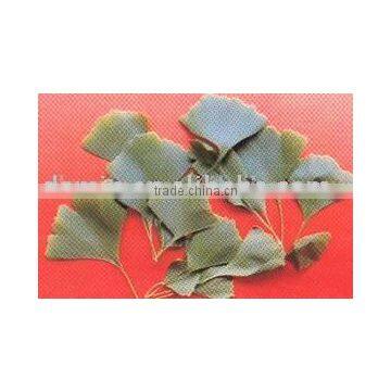 Gingko leaf extract instant powder