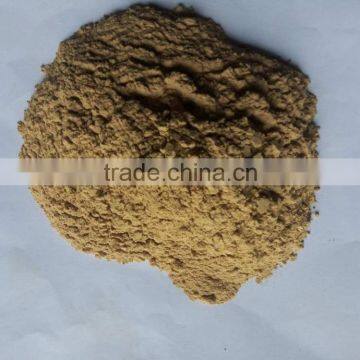 5% Gingerols(HPLC) ginger extract/ginger powder/ginger root extract