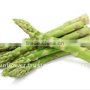 Good Quality Seasoned Brine Canned Asparagus for Sale