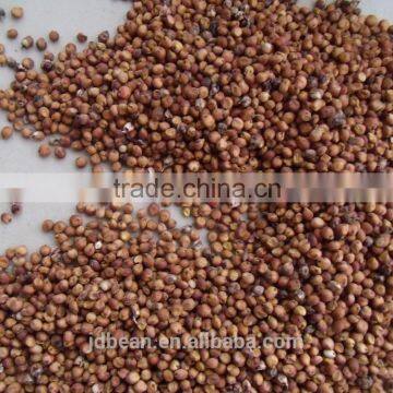 Price Of Red Sorghum photo-2